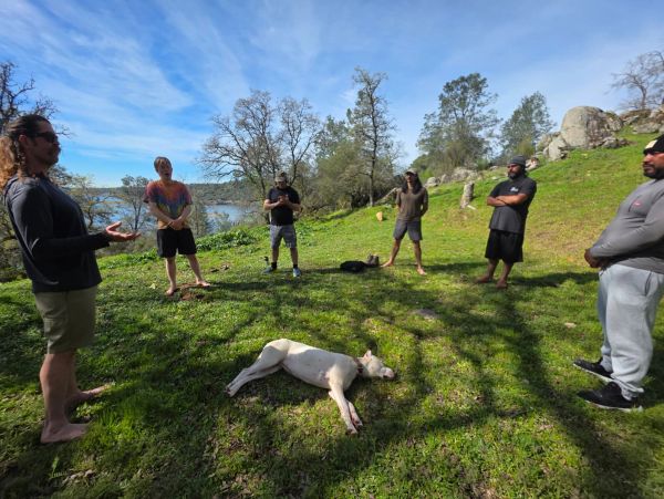 Group of six people standing in a circle outdoors with a dog lying in the middle on grass.