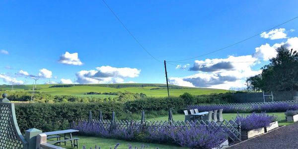 Crystal Rig Windfarm from the cottages