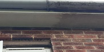 local window cleaners near me.fascias,soffit cleaning