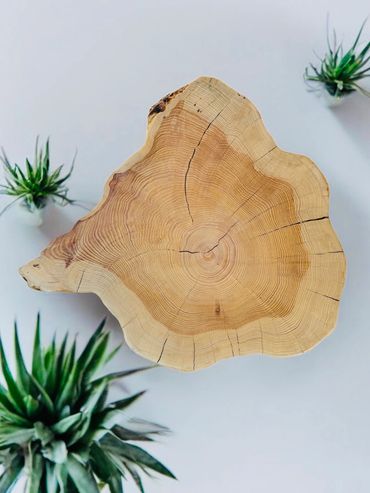 Cedar slab end table / hand-made steel legs. Cedar reclaimed in Idyllwild, CA. 23"x26"x27.25" high.