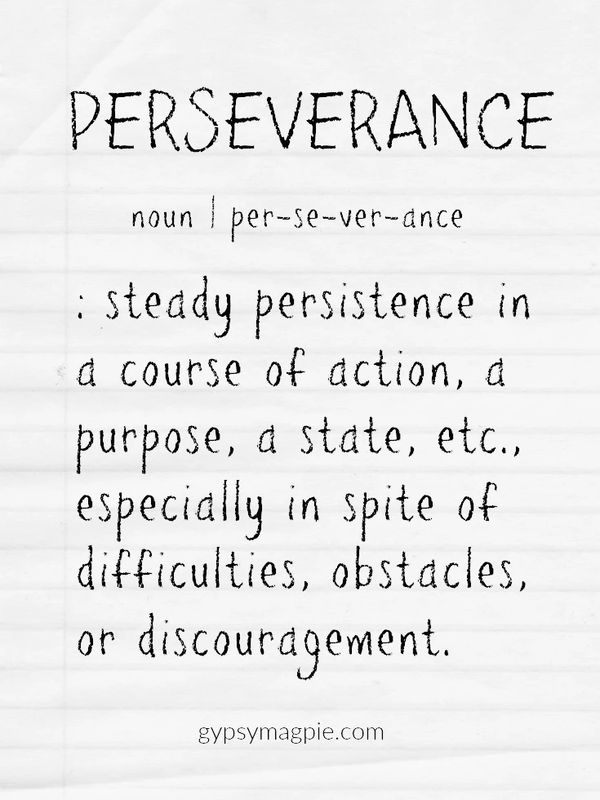 Perseverance defined