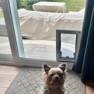 Dog door in sliding glass door
