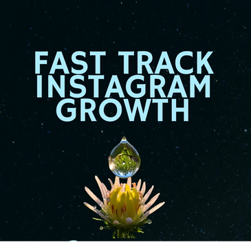 Fast Track Instagram Growth.  Digital Course.