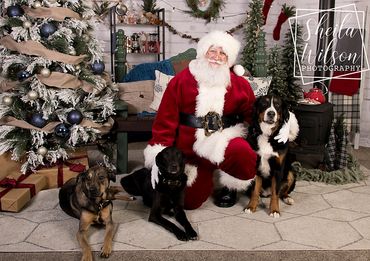 Nashville Santa Claus, Santa Aaron, Visit from Santa, St. Nick, Professional Santa Actor, TN Santa