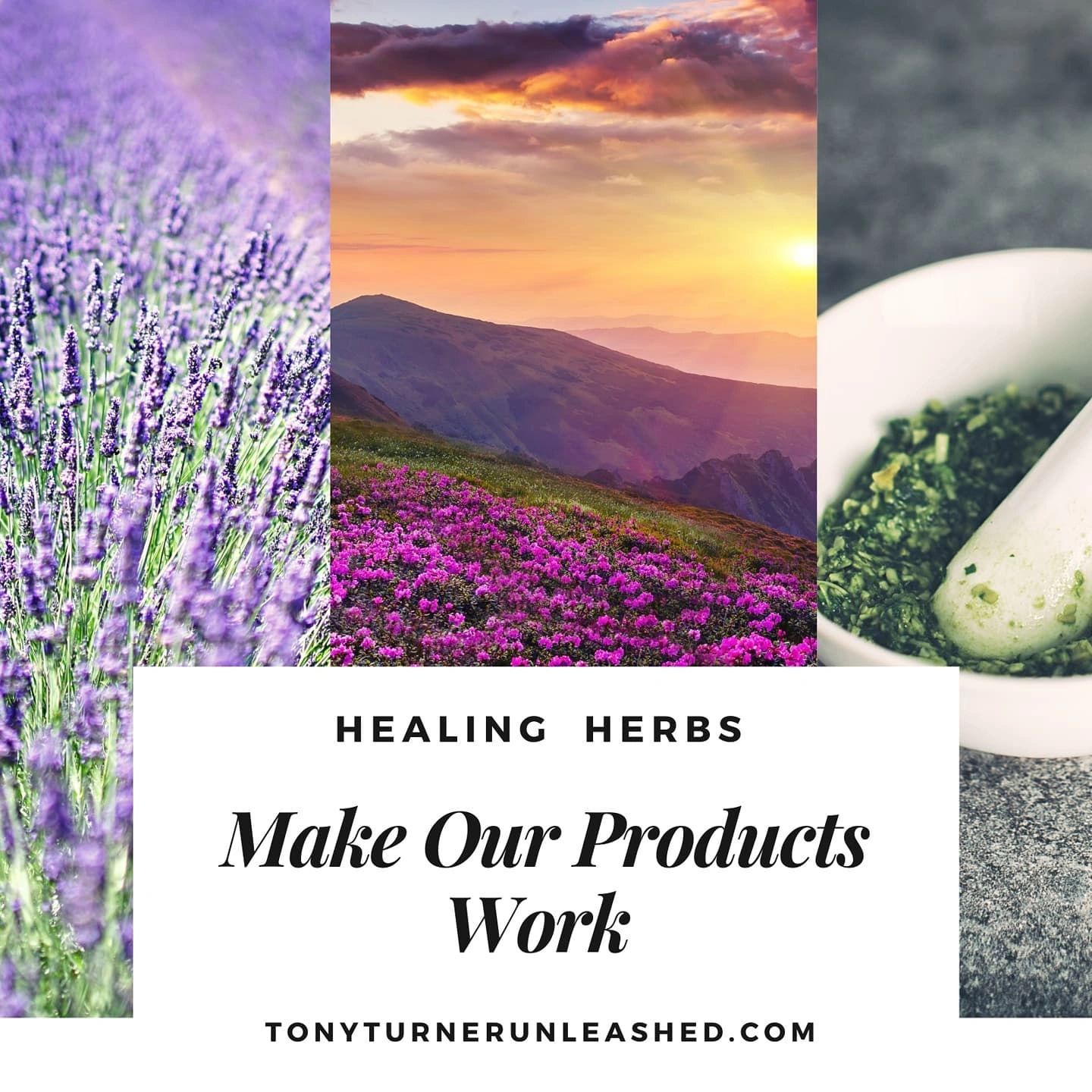 Natural Herbs make our products work.