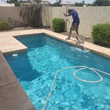 Person cleaning a swimming pool with a net.