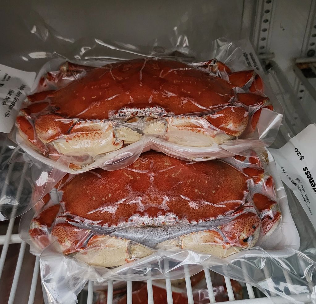 Dungeness Crab