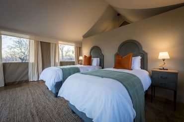 Safari Camp Room with two beds in Hwange National Park