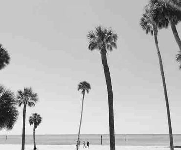 tampa,florida,fl,orlando,jacksonville,daytona,palm beach,south beach