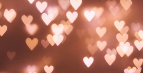 care,empathy,understanding