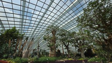 gardens by the bay singapore bumble bee travel