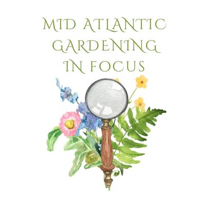 Logo for Mid Atlantic Gardening in Focus with magnifying glass and flowers.
