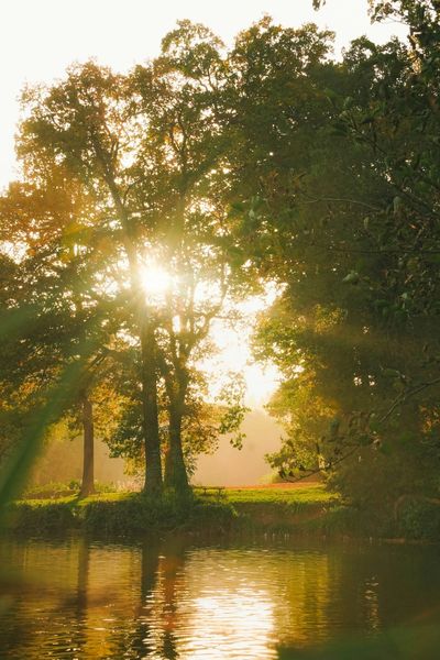 EMDR Therapy in North Dallas, TX with EMDRIA Certified Therapist Ashley Kuehne