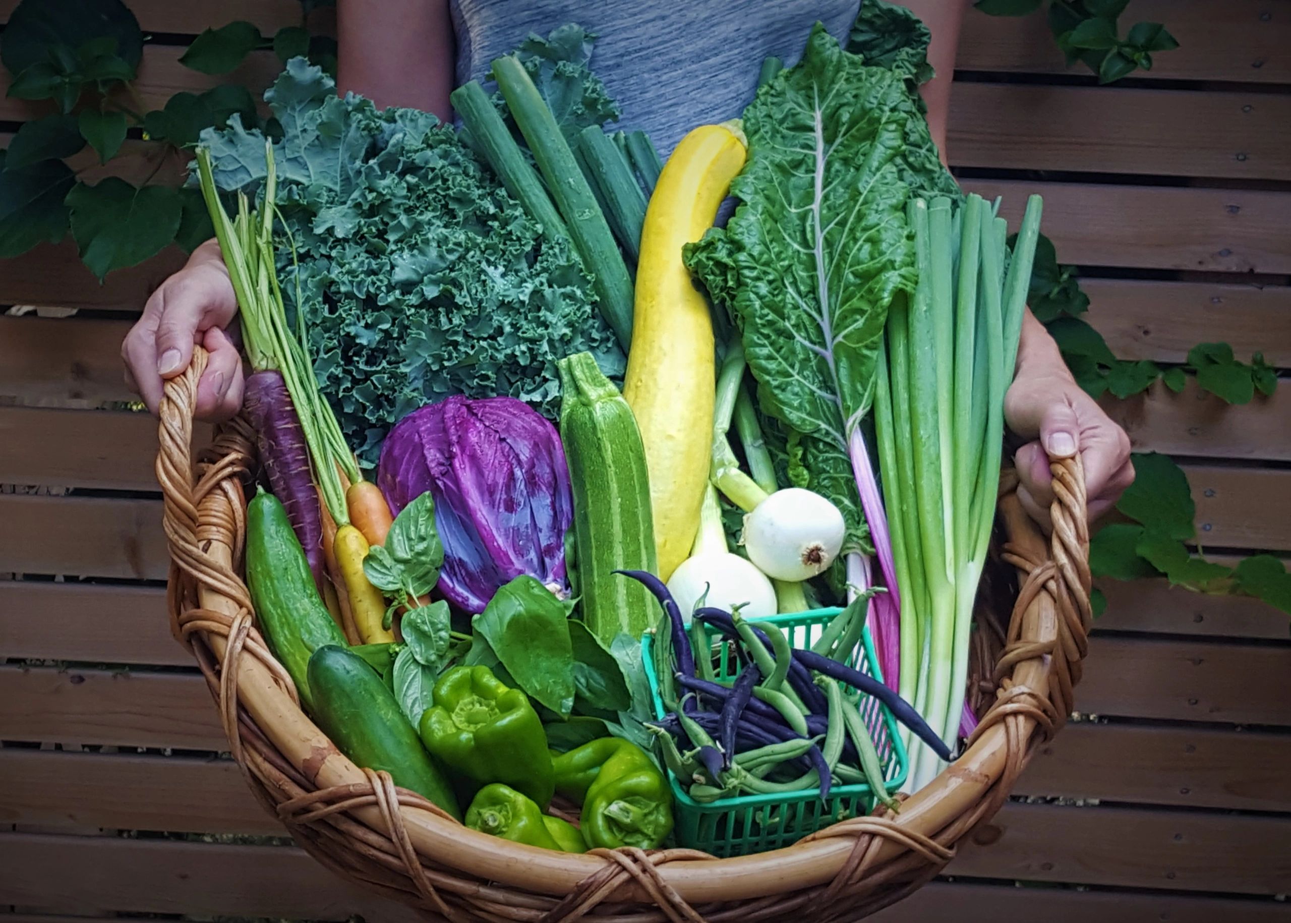 Bloorcourt farm basket, St Clair W farm basket, farm baskets Toronto, vegetable baskets Toronto