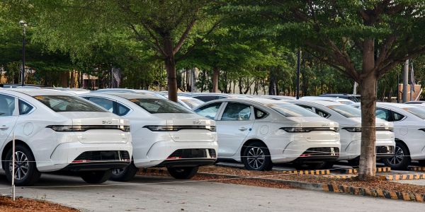 Row of white electric cars parked under trees.