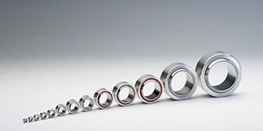 Fluro Bearings