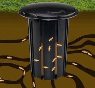 Lenexa, Olathe, Shawnee, Leawood, Overland Park Termite control.
Termite treatment