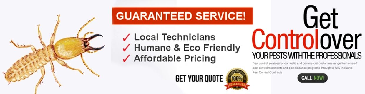 Termite control with our annual termite bait stations. Canyon Creek is Kansas City's advanced Termi