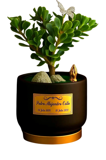 Mesa | Porcelana | Bonsai Jade Macho | Placa Bronze