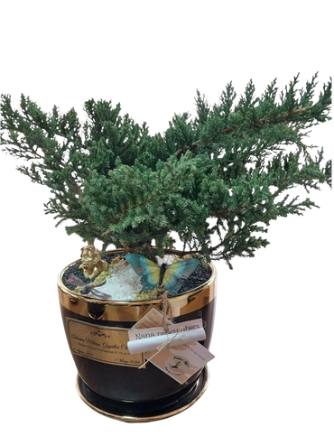 Mesa | Porcelana | Bonsai Jade Hembra | Placa Bronze