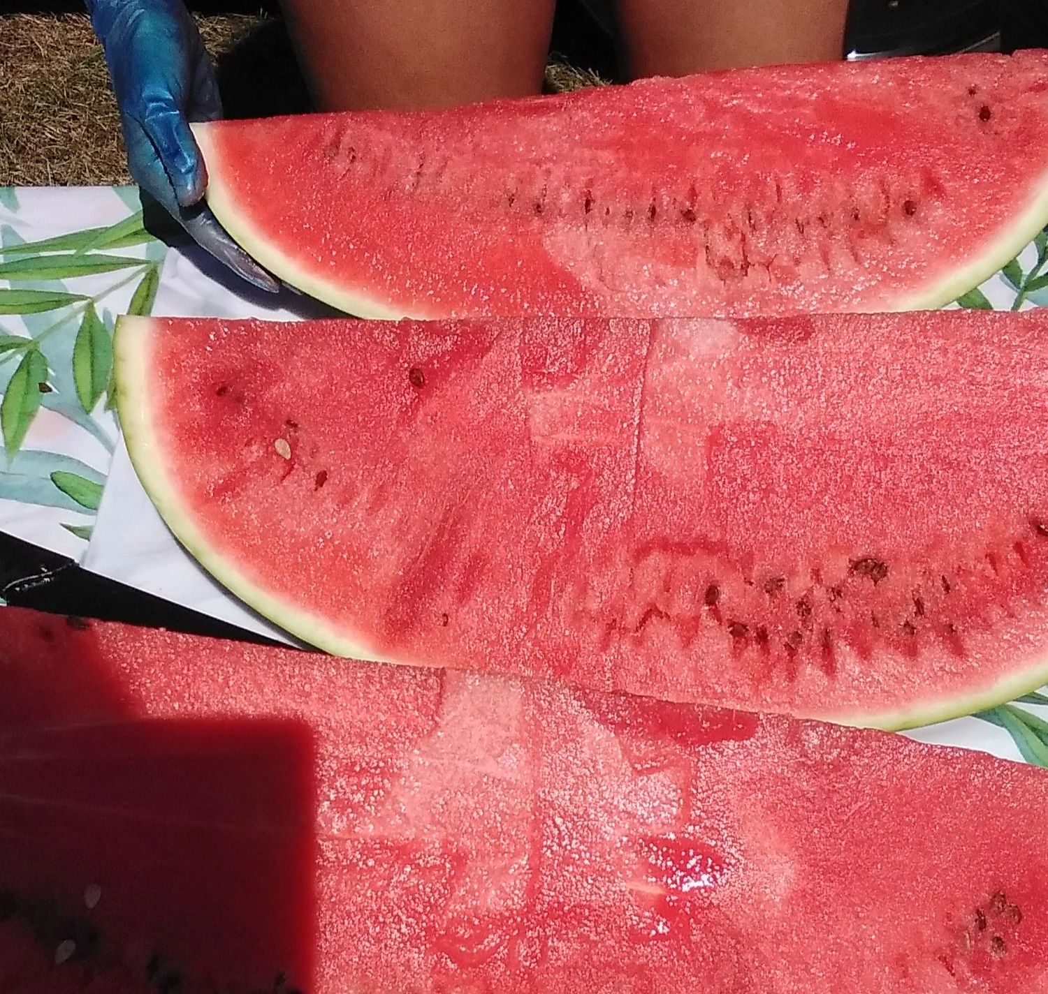 Close-up of large watermelon slices on a patterned tablecloth.