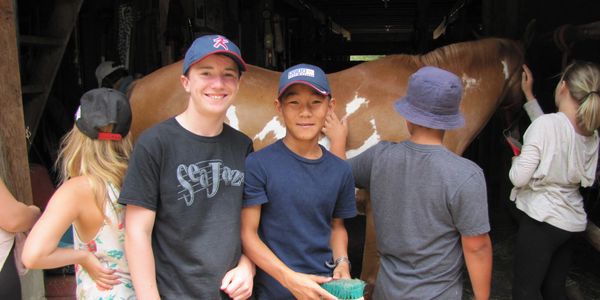 Brushing Portia the Horse on a field trip durring our Growing Wild Summer Camp in 2017.