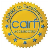 Advancing service excellence through a consultative peer-review survey process that affirms conformi