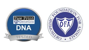 DNA and OFA Health Testing Logos
