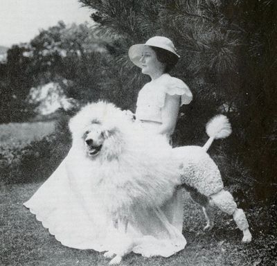 Old photo of Standard Poodle standing with woman 