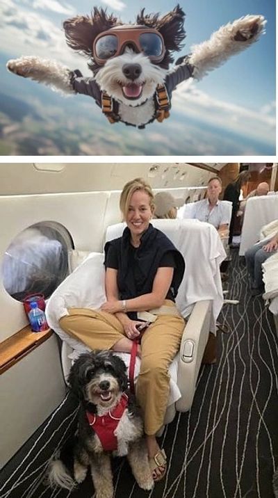 Puppy Flight Nanny
