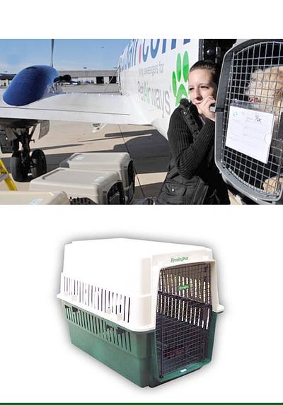 Woman Loading Dog in Kennel on Airplane