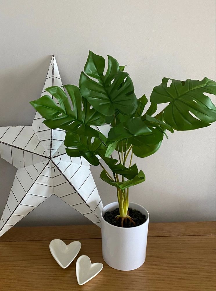 Artificial Cheese Plant in pot, with Barn Star & Heart Trinket Dishes Accessories.