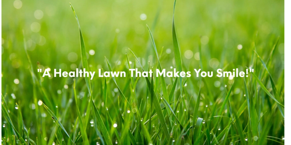 A Healthy Lawn That Makes You Smile