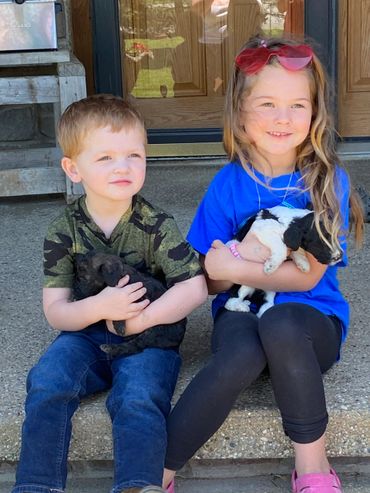 Two children sitting outside holding puppies with happy expressions.