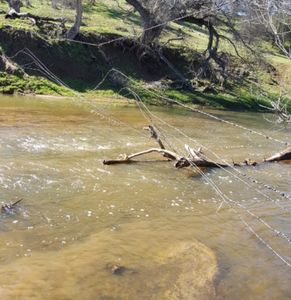 With the Water Gap Saver, the fence remains.