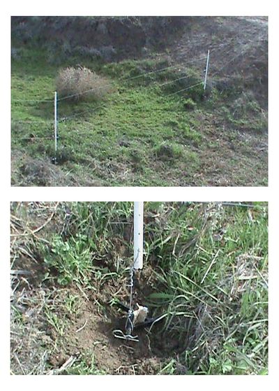Water Gap Saver works with electric fencing as well.