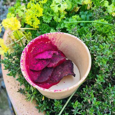 Cup with vibrant pink powder and dark chips, surrounded by green and yellow plants.
