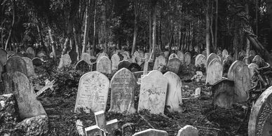Overgrown cemetery with weathered gravestones surrounded by trees.
