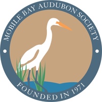 Mobile Bay Audubon Society 