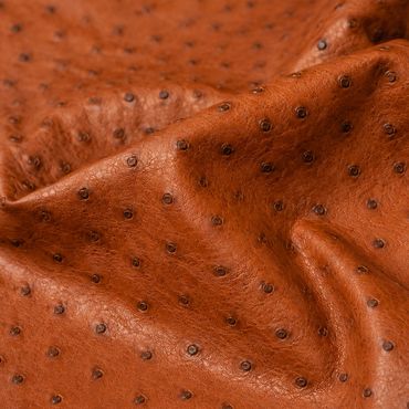 ostrich leather with detailed texture.