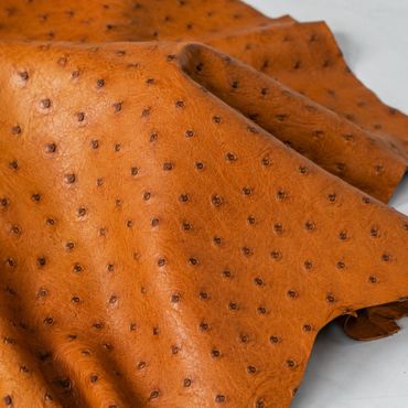 ostrich leather with detailed texture.