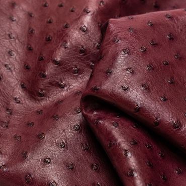 ostrich leather with detailed texture.