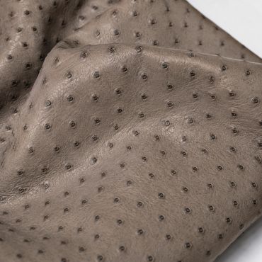 ostrich leather with detailed texture.