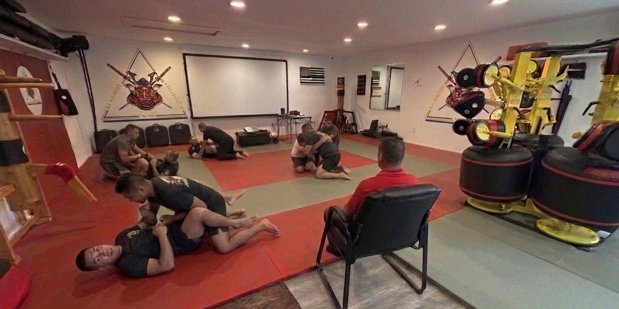 Martial arts class with pairs practicing grappling on mats.