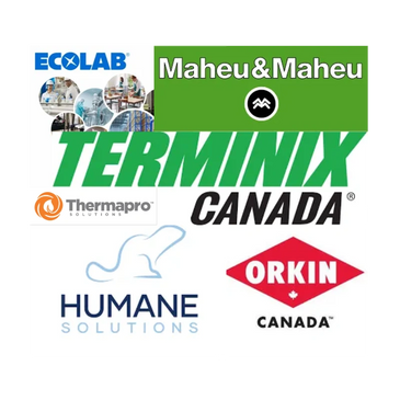 Companies I've learned from