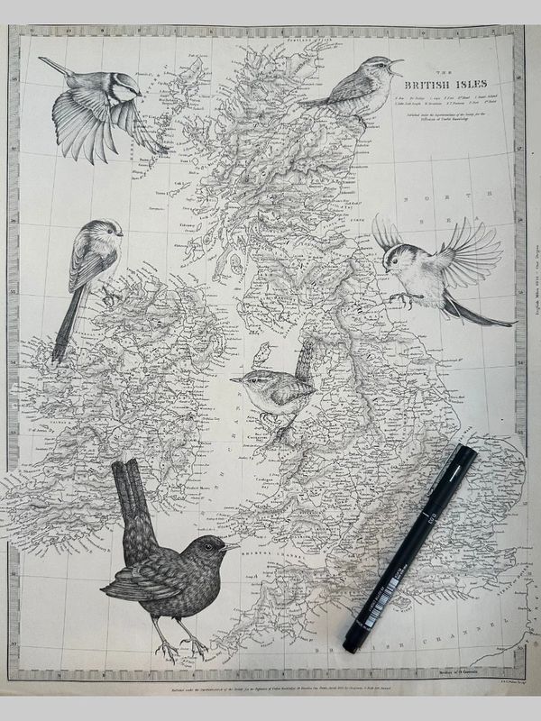 Detailed black and white map of the British Isles with intricate bird illustrations and a drawing pen.