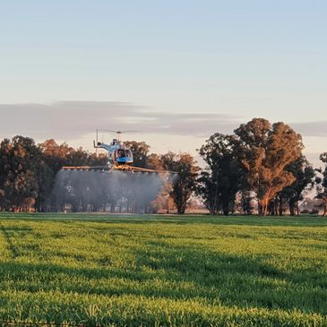 Bell 206 Longranger Sparying Forbes