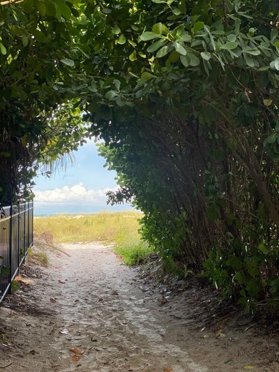 Sandy path through green bushes leading to a sunny beach.