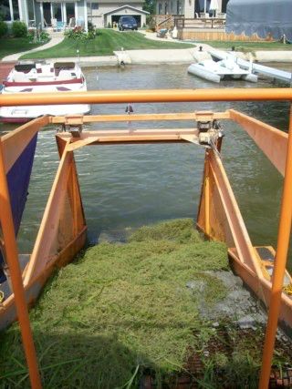 Lake Weed Harvesting and Removal