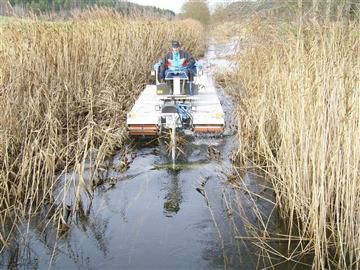 Maintaing waterways for duck hunt clubs